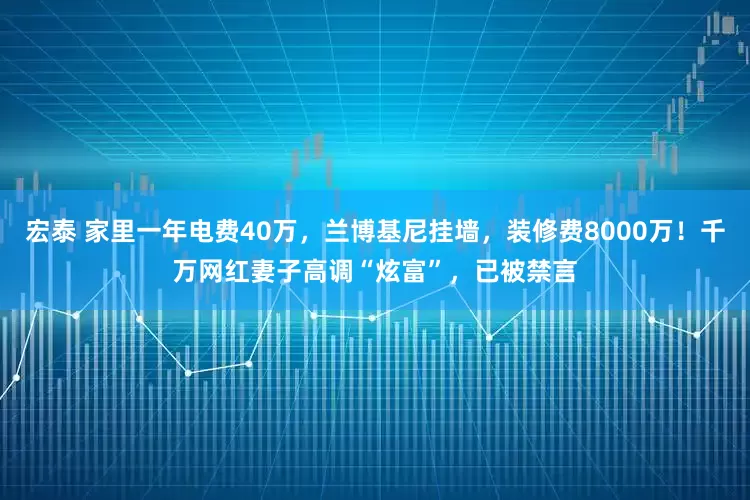 宏泰 家里一年电费40万，兰博基尼挂墙，装修费8000万！千万网红妻子高调“炫富”，已被禁言