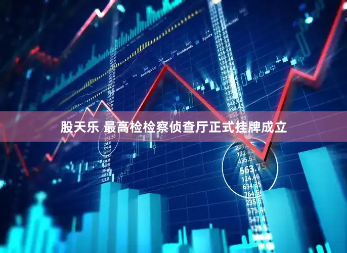 股天乐 最高检检察侦查厅正式挂牌成立