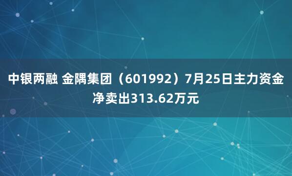 中银两融 金隅集团（601992）7月25日主力资金净卖出313.62万元