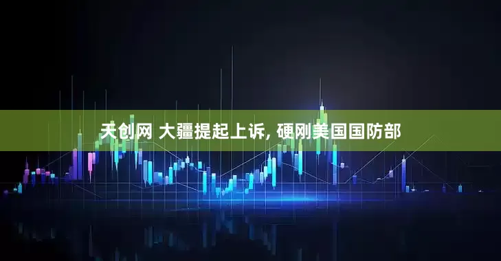 天创网 大疆提起上诉, 硬刚美国国防部