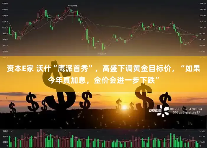 资本E家 沃什“鹰派首秀”，高盛下调黄金目标价，“如果今年真加息，金价会进一步下跌”